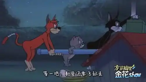 猫和老鼠四川话爆笑汤姆猫在家开电影院,一开口我就笑了
