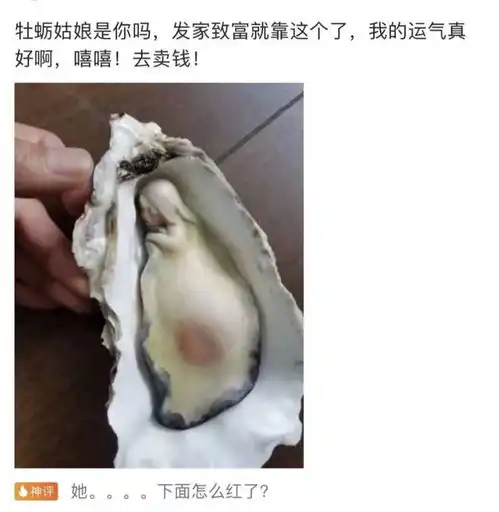 狗狗因为被绝育天天去宠物医院,哈哈我没有同情心的笑了
