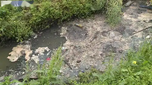 黑臭水体治理不彻底,成都这两地被点名曝光
