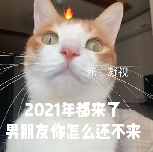 幽默笑话已婚妇女很彪悍,无事请绕行
