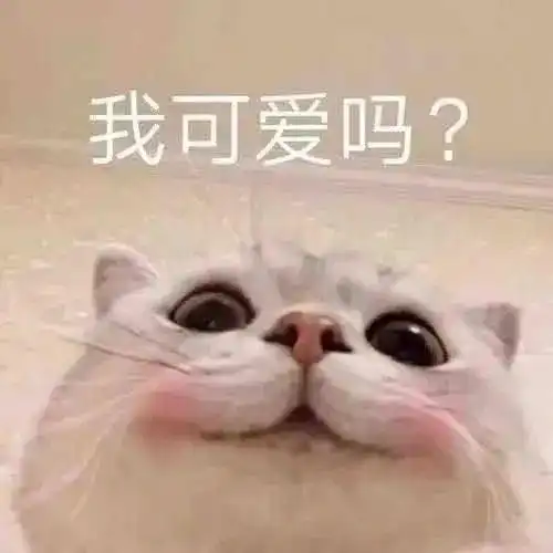 国庆表情包我们已经是好友啦,一起来沉默吧
