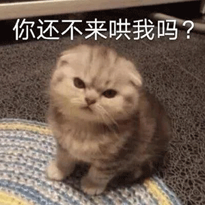 40张沙雕表情包你居然馋我身子,小哥哥进我的圈套
