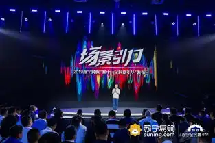 撒贝宁何炅的野狼disco火了,湖南台双十一还要和苏宁搞事情
