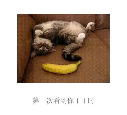 幽默图片搞笑段子俗话说天妒英才,所以人还是蠢点好
