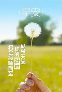 早安心语正能量句子早上好励志图片带字
