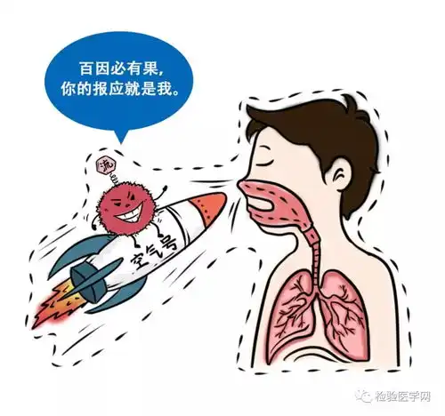 最强漫画科普来了流感与人体的攻防大战
