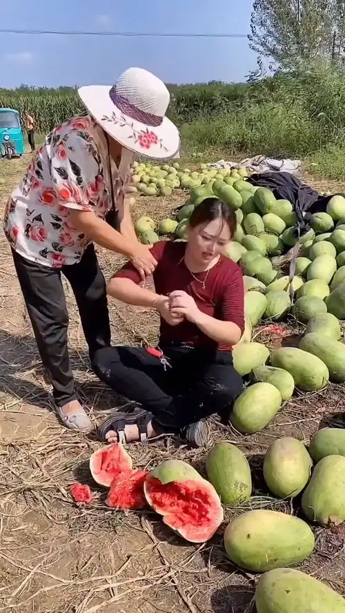 活着一辈子咋就这么难八亩地的西瓜全被泡汤了,想想就寒酸搞笑经纪人小微

