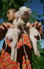 铅山图文热点铅山在线
