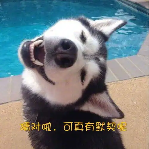 到底怎样送礼物才不会被分手
