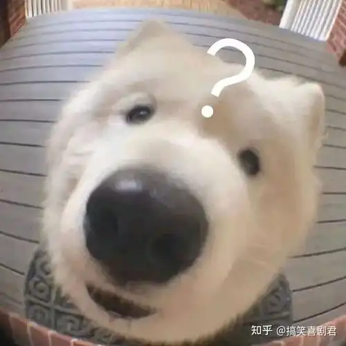 搞笑视频,被蜜蜂蛰到嘴巴了,哈哈哈哈哈哈哈哈哈哈哈哈
