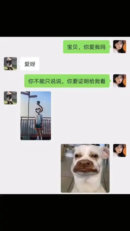 爱使人变形沙雕聊天搞笑视频
