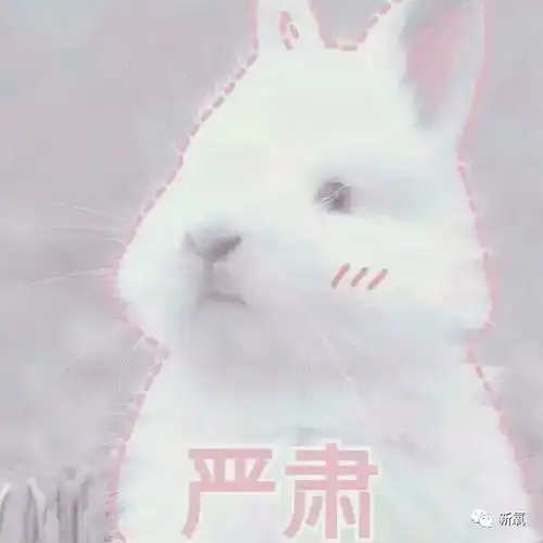看了这些,更佩服她了
