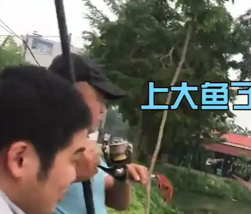 最佳损友广东男子钓鱼遭损友用木棍戏弄,一举动惹得朋友爆笑
