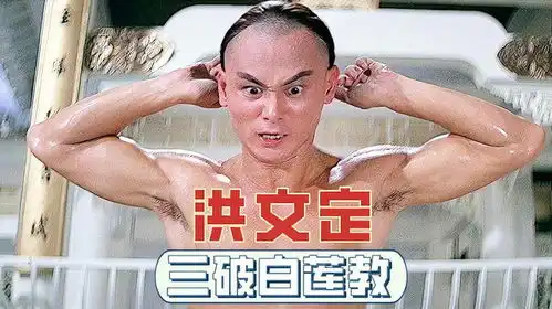 为友复仇,洪文定虎鹤双形拳终极决战洪文定三破白莲教
