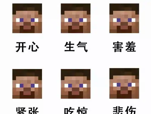 我的世界分享几张爆笑图片只有老mc才懂其中的笑点
