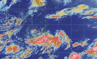 暴雨大风厦门启动防御暴雨三级应急响应未来几天将有持续性强降水
