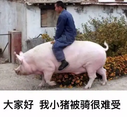 谁说猪都好吃懒做,表情包里的它们简直是万能萌神
