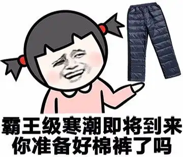 别给我来这些虚的,我对时尚的理解是保暖为主
