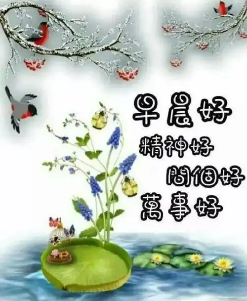 12月8号早上好朋友们
