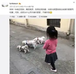 娱乐圈的男神女神们都钟爱什么狗狗呢林更新,你是来搞笑的吧
