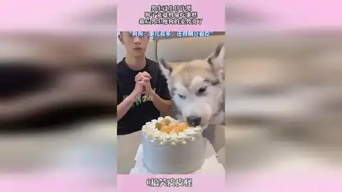 男生过生日许愿,狗子竟趁机偷吃蛋糕,最后男生抱狗的姿势亮了
