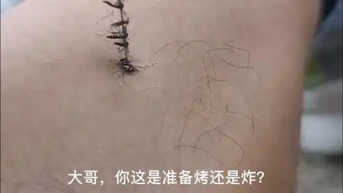 太搞笑了修理厂,生意其实很好做,来跟蚊子烤串也挺香的
