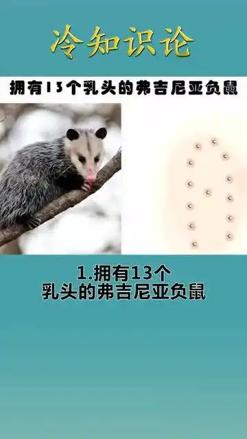 每天一点冷知识,有趣的冷知识,原谅我笑出了猪叫
