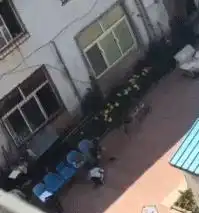 当我把工资条发到家族群里的时候,然后我爸哈哈哈哈哈,太真实了吧
