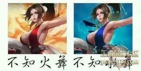 王者荣耀搞笑图片集合,这些图你都见过吗
