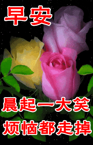 8张特漂亮的免打字早上好动态祝福鲜花图片创意唯美的冬日清晨好问候动画图片带字带鲜花
