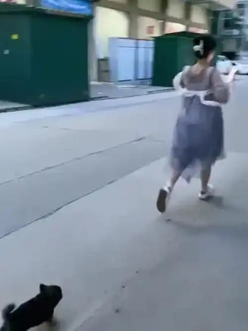 搞怪妹子逗比表演秀沙雕反转
