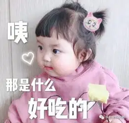 2019聊天专用搞笑表情包,带字表情包
