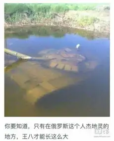 终于开了,先来水一贴
