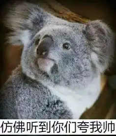 我的男神,今天为我跳了一曲抖腿舞
