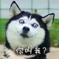 二哈情侣头像哈士奇微信头像图片大全
