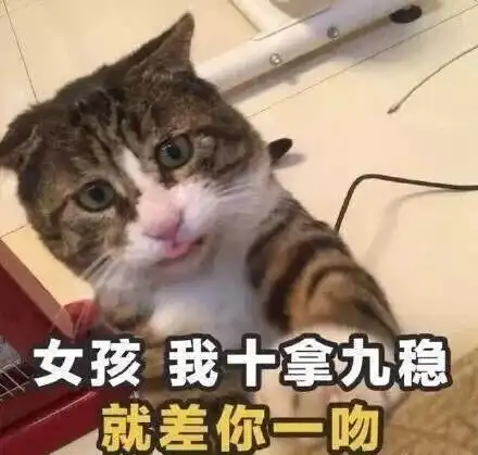 今日表情包精选9.5
