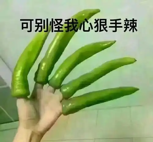 搞笑段子有张像人脸的狗就是吃香,给个眼神你自己体会

