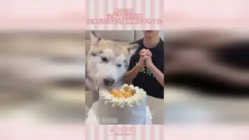 男子过日,没福千万别应享,没想到咬牙买的蛋糕被狗子抢了先

