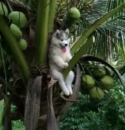 那些迷之笑点的照片
