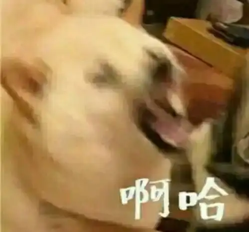 搞怪情侣头像
