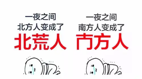 2135亿双11买疯了,海南剁手多少岛民都买了啥
