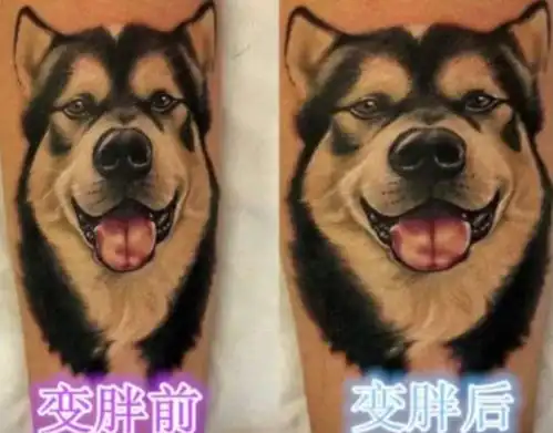 纹身后变胖,纹身的图案会发生什么变化看到图三,网友笑出腹肌
