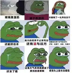 梅雨季来了,别让霉菌毒素偷走了猪场的钱

