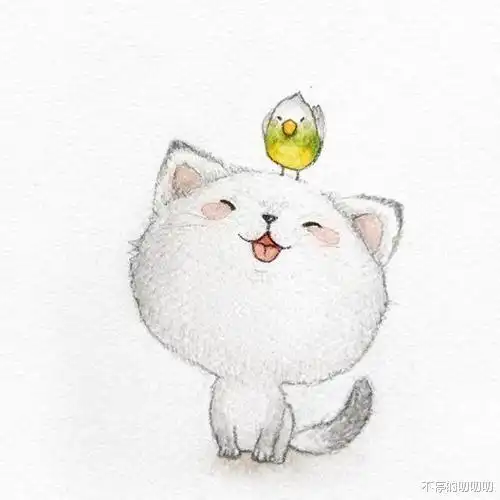 我开动物园那些年做一个能把你可爱到的园长
