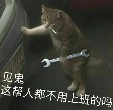 天津相声广播以后要改叫科比小鑫了

