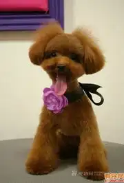 用户登录

