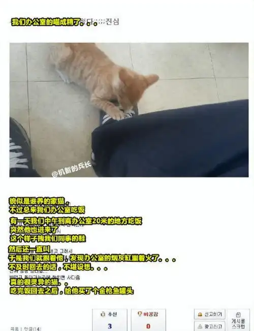 搞笑趣图不怪别人,只怪你太瘦了
