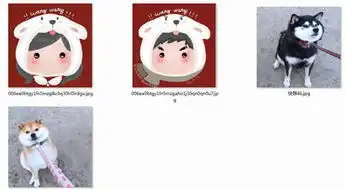 2018狗年头像可爱图片素材2018狗年头像图片大全无水印版下载
