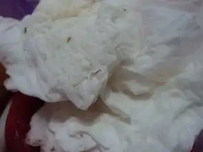 请问这是蚊子的幼虫吗有照片
