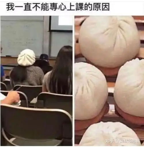 有哪些特别搞笑的段子或者笑话,可以下饭的那种

